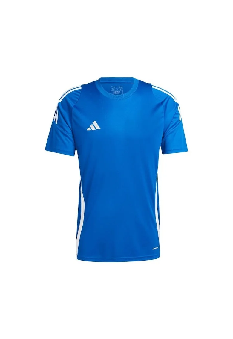 Tricou sport barbati  Tiro 24, poliester reciclat, albastru, Albastru