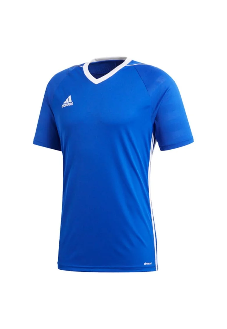 Tricou sport barbati,  Albastru,