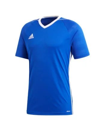 Tricou sport barbati,  Albastru,