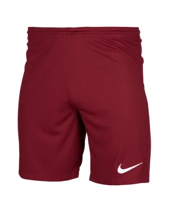 Pantaloni scurti copii Dry Park III,  Poliester, Visiniu, 176 CM, XL