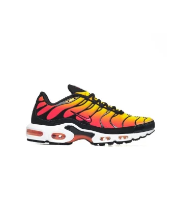 Pantofi sport  Air Max Plus, multicolor, sistem Max Air, material sintetic
