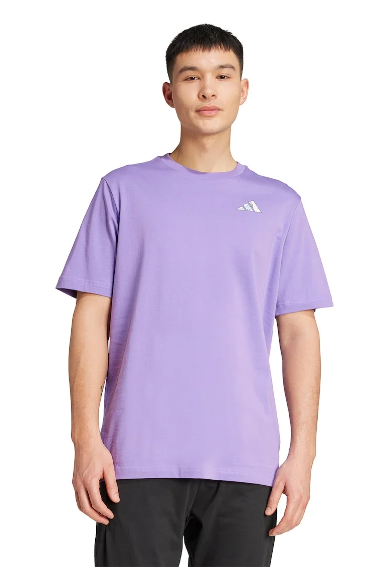Tricou cu imprimeu logo pe partea din spate C Earth M, Lila/Alb murdar/Albastru deschis