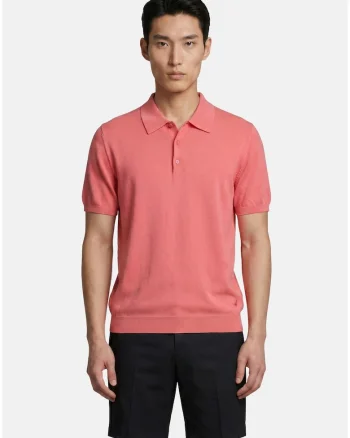 Tricou polo cu model uni, Roz antichizat