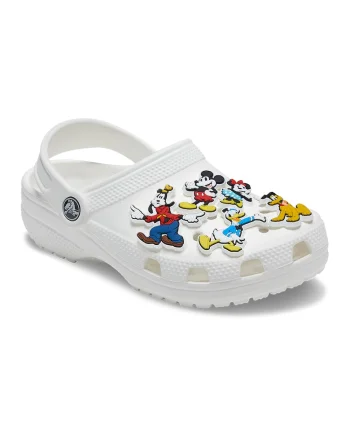 Set de talismane pentru saboti Jibbitz - 5 piese, Multicolor