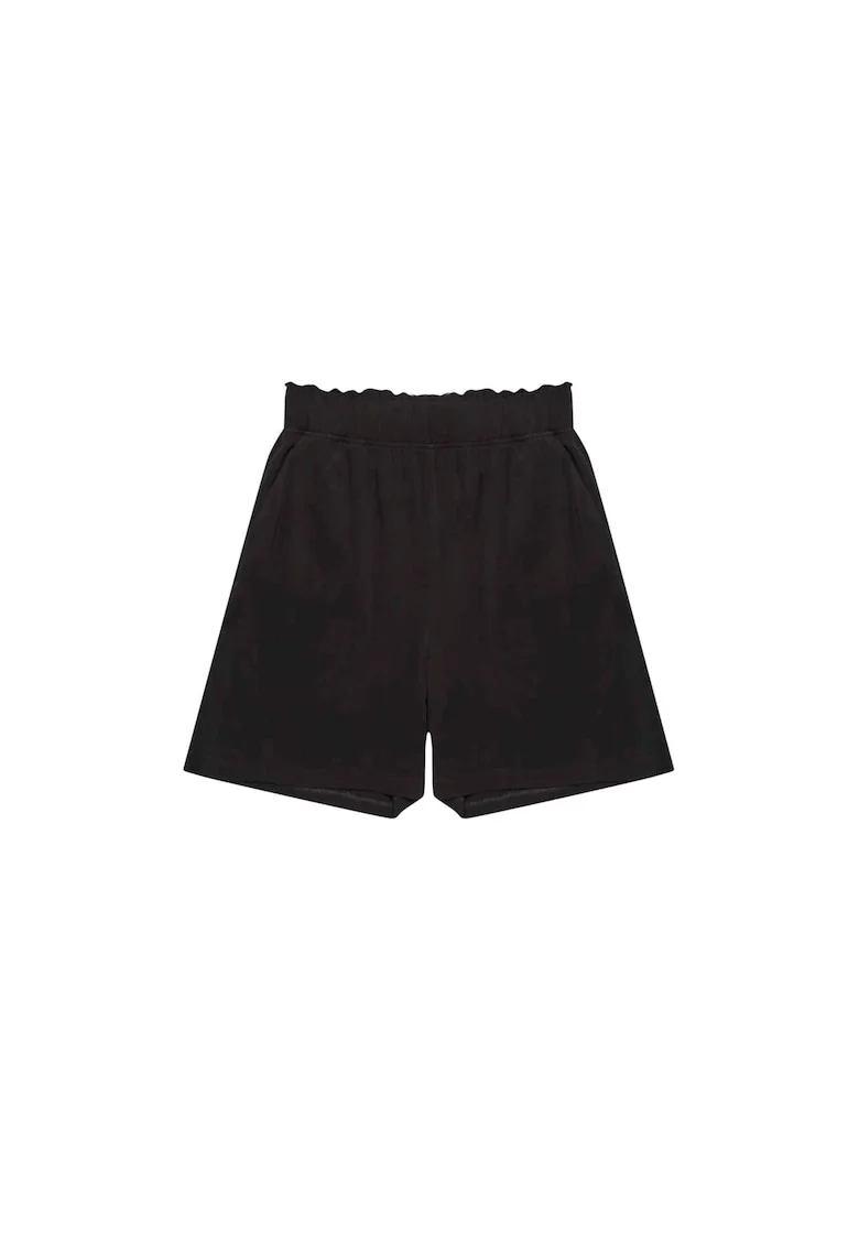 L-SH-3719, Negru