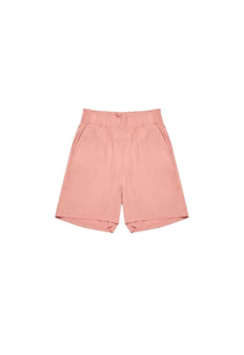 L-SH-3719, Coral