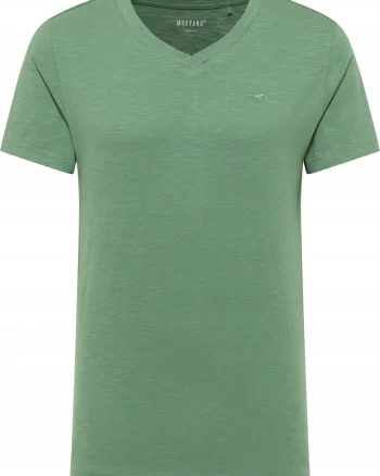 Tricou Barbati,  Amado, Regular Fit, Verde, Verde