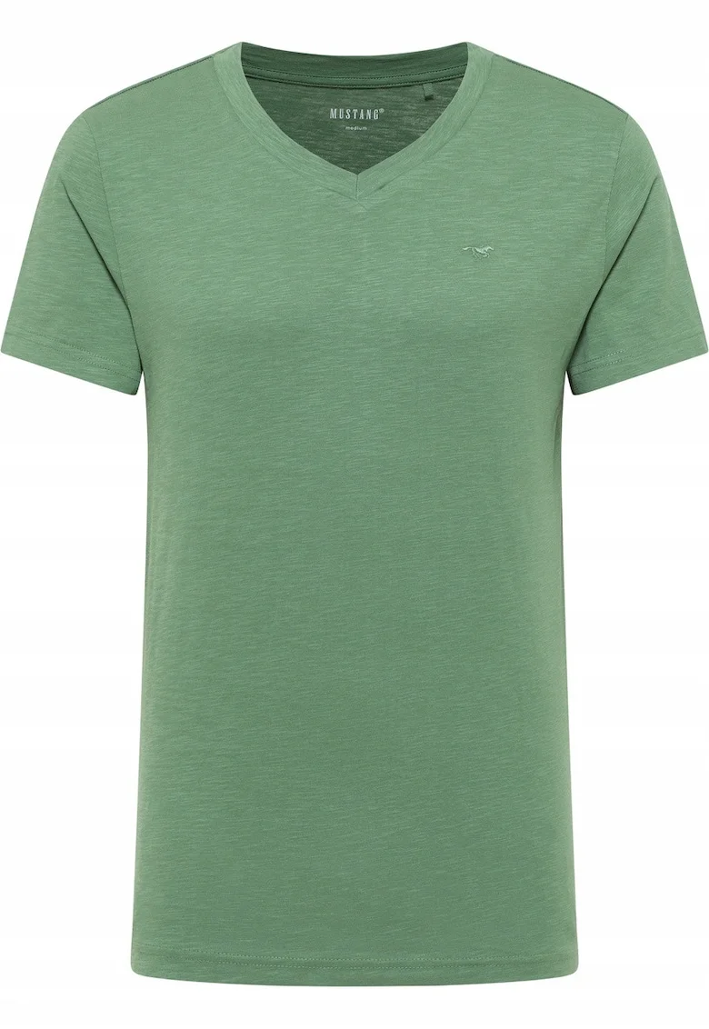 Tricou Barbati,  Amado, Regular Fit, Verde, Albastru