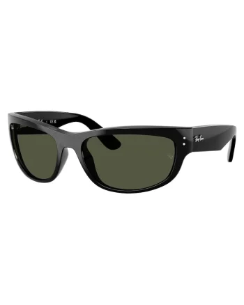 Ochelari de soare  RB2289 Negru, Negru