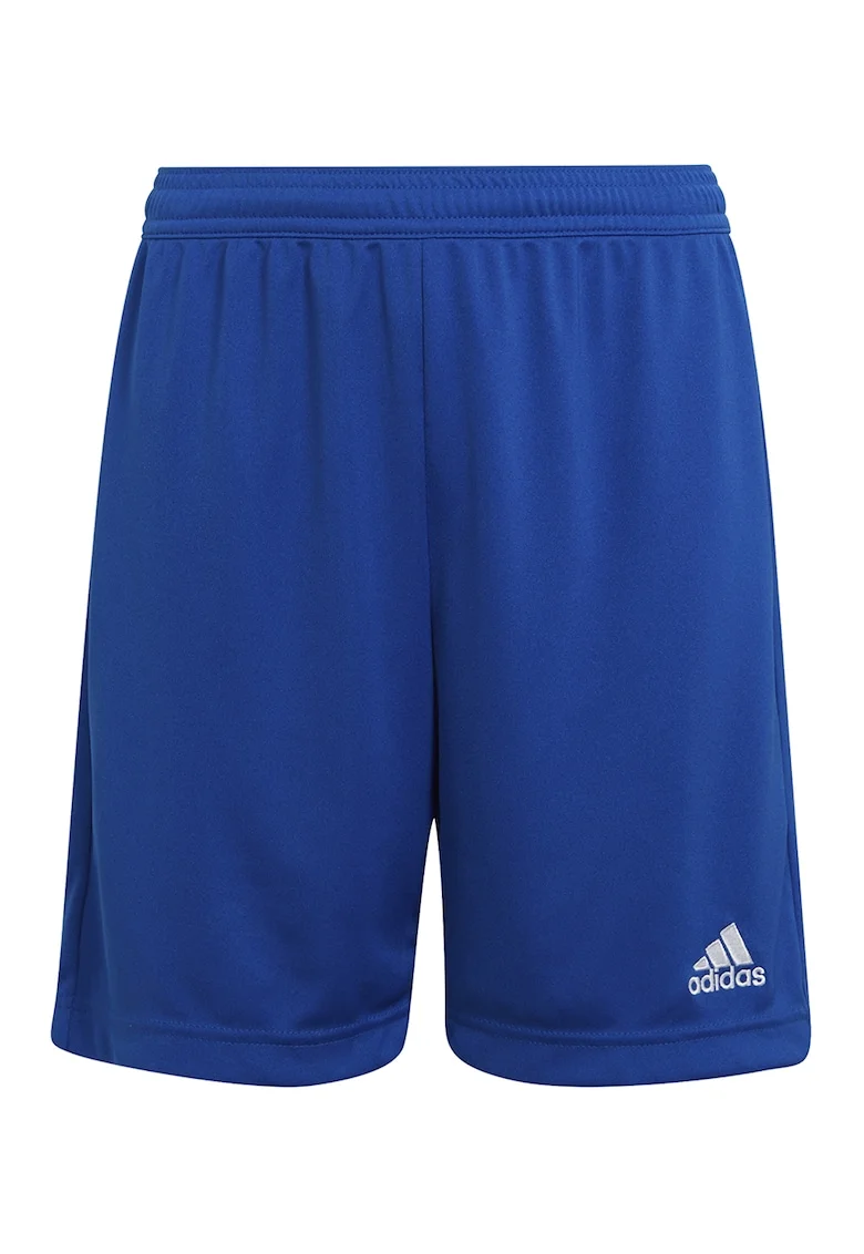 Pantaloni scurti pentru fotbal ENT22, Albastru royal