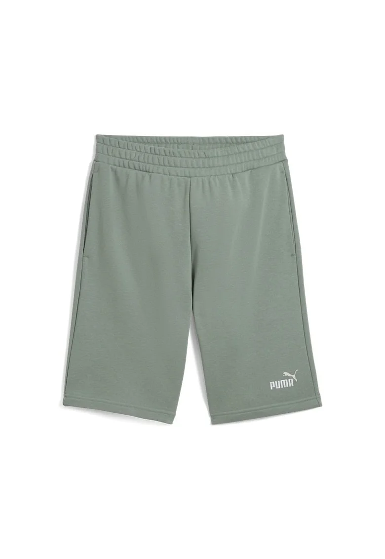 Sort  pentru Barbati, ess 2 color no 1 logo shorts 10" tr, Verde