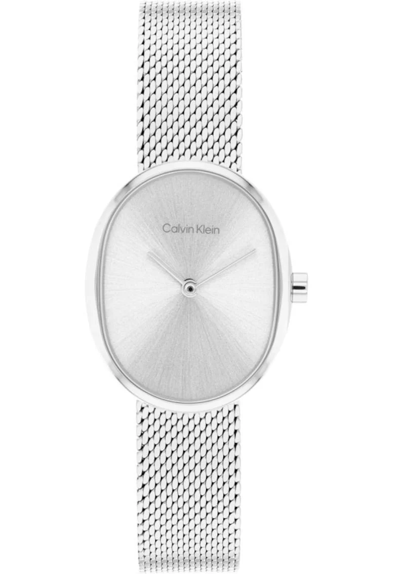Ceas dama  25100173 Quartz Argintiu