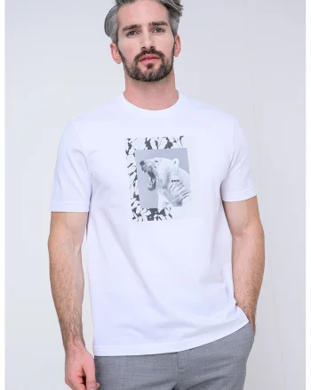 Tricou cu decolteu la baza gatului si imprimeu foto, Alb/Gri