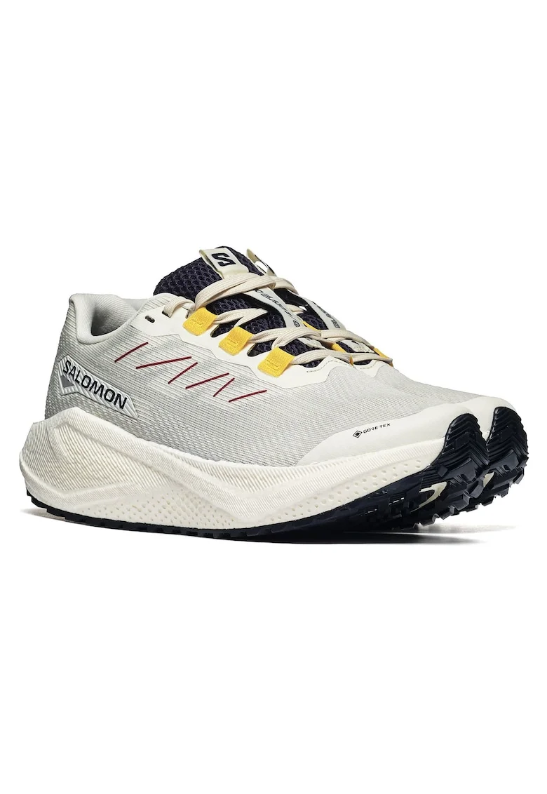 Pantofi sport pentru drumetie Aero Blaze 3