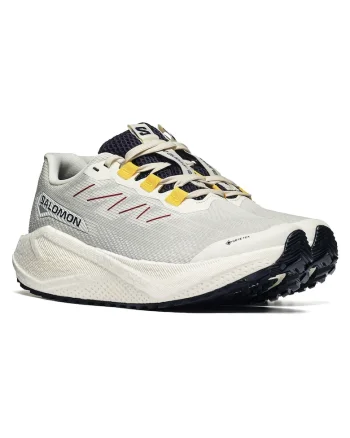 Pantofi sport pentru drumetie Aero Blaze 3