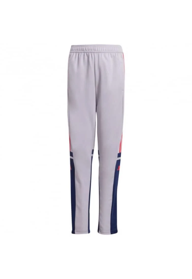 Pantaloni sport copii,  Squadra 25, gri, material respirabil