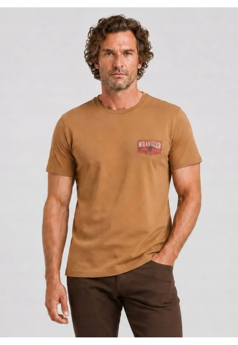 Tricou barbati,  SMALL GRAPHIC TEE, bumbac, maro, maneca scurta, regular fit