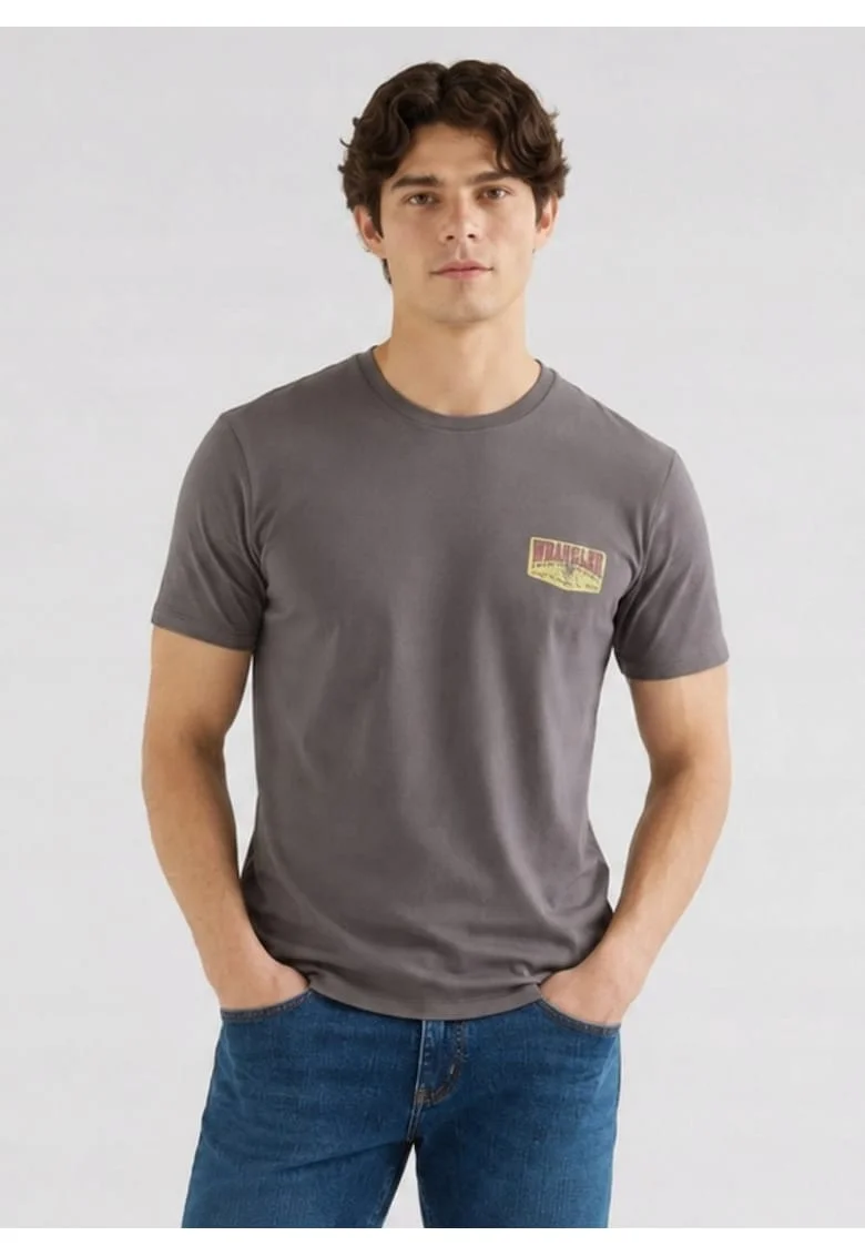 Tricou barbati,  SMALL GRAPHIC TEE, gri, bumbac, Gri