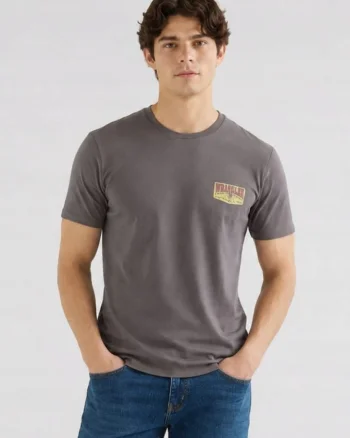 Tricou barbati,  SMALL GRAPHIC TEE, gri, bumbac, Gri