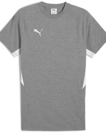 Tricou barbati Puma Teamevostripe Tee 65995333