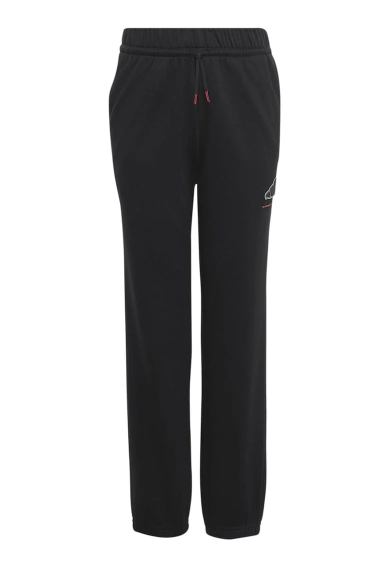 Pantaloni de trening regular fit din amestec de bumbac, Negru