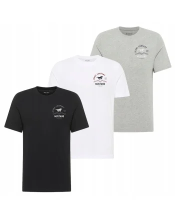 Set 3 Tricou Barbati,  Alex, S INTL, Multicolor, Bumbac, Design Clasic Casual, Ideal Pentru Uz Zilnic, Material Premium Confortabil, Croiala Regular Fit, Maneca Scurta