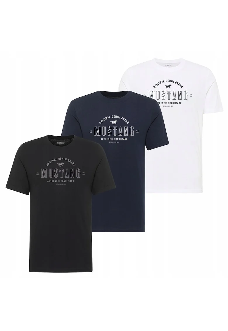 Set 3 Tricou Barbati,  Alex, L INTL, Multicolor, Bumbac, Design Clasic Casual, Ideal Pentru Uz Zilnic, Material Premium Confortabil, Croiala Regular Fit, Maneca Scurta
