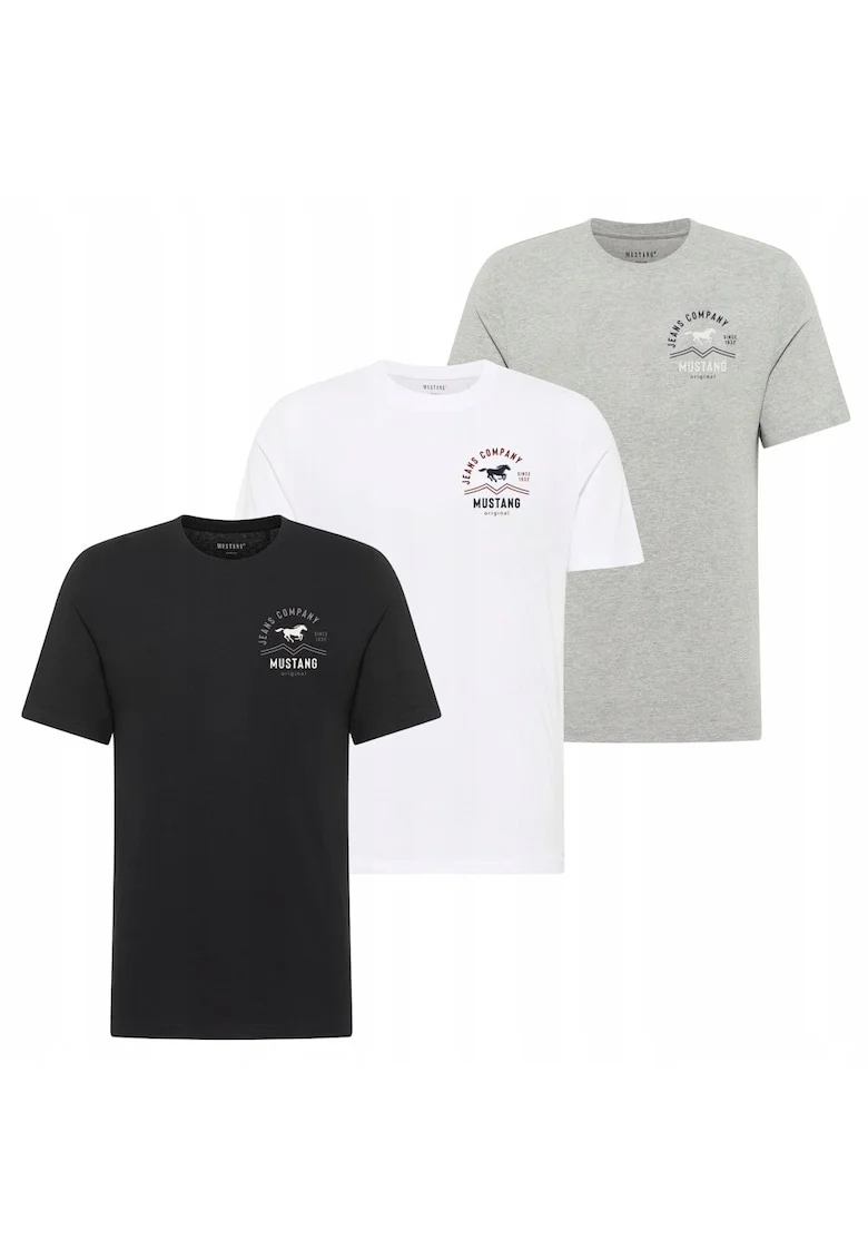 Set 3 Tricou Barbati,  Alex, 2XL INTL, Multicolor, Bumbac, Design Clasic Casual, Ideal Pentru Uz Zilnic, Material Premium Confortabil, Croiala Regular Fit, Maneca Scurta