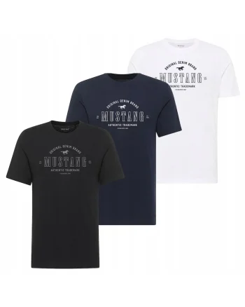 Set 3 Tricou Barbati,  Alex, 5XL INTL, Multicolor, Bumbac, Design Clasic Casual, Ideal Pentru Uz Zilnic, Material Premium Confortabil, Croiala Regular Fit, Maneca Scurta