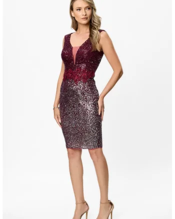 Rochie bodycon cu paiete, Visiniu/Argintiu