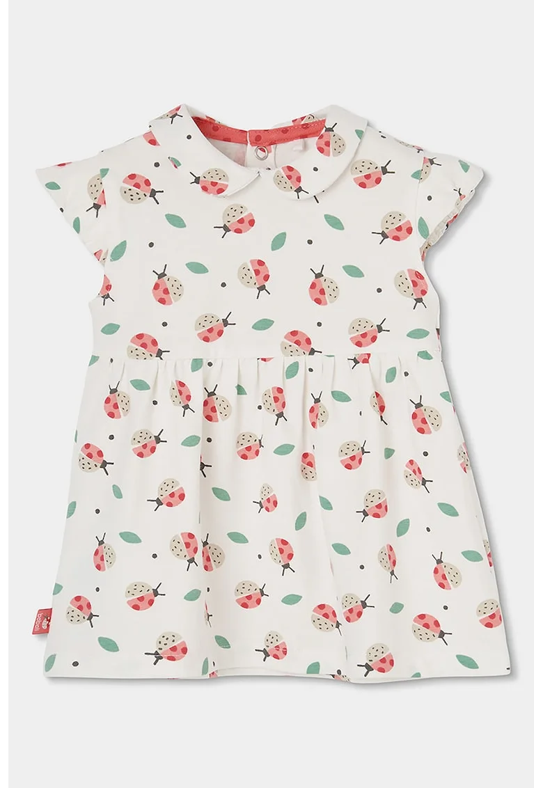 Set de rochie din amestec de bumbac si chiloti, Rosu/Alb/Verde