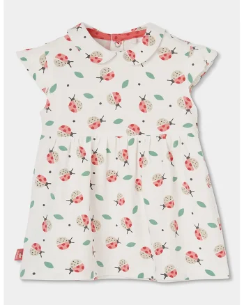 Set de rochie din amestec de bumbac si chiloti, Rosu/Alb/Verde