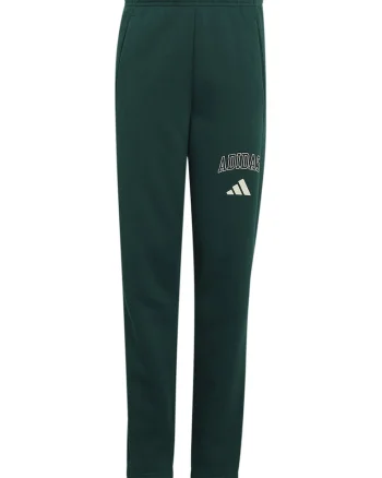 Pantaloni de trening cu logo Collegiate, Verde padure