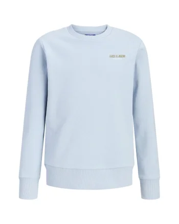 Bluza de trening din amestec de bumbac cu imprimeu pe spate, Albastru pastel