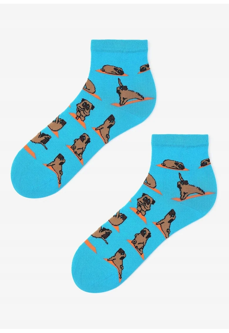 Sosete dama,  Bumbac/Poliamida, Multicolor, 36-40EU