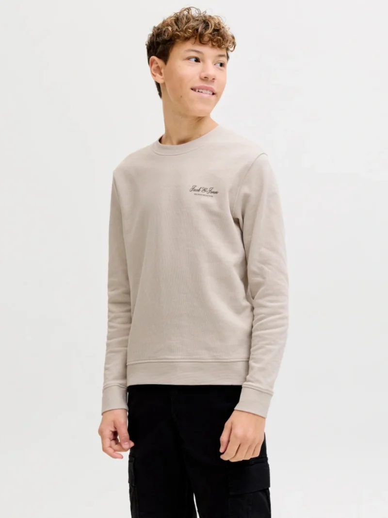 Jack & Jones Bluza baieti, Relaxed fit, cu decolteu la baza gatului, Bej (SELECTATI MARIMEA: 140 cm)