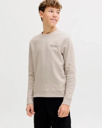 Jack & Jones Bluza baieti, Relaxed fit, cu decolteu la baza gatului, Bej (SELECTATI MARIMEA: 140 cm)