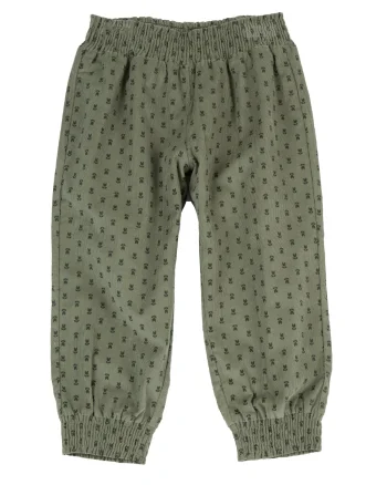 Pantaloni copii Chicco, Verde cu model, 02664-71MC